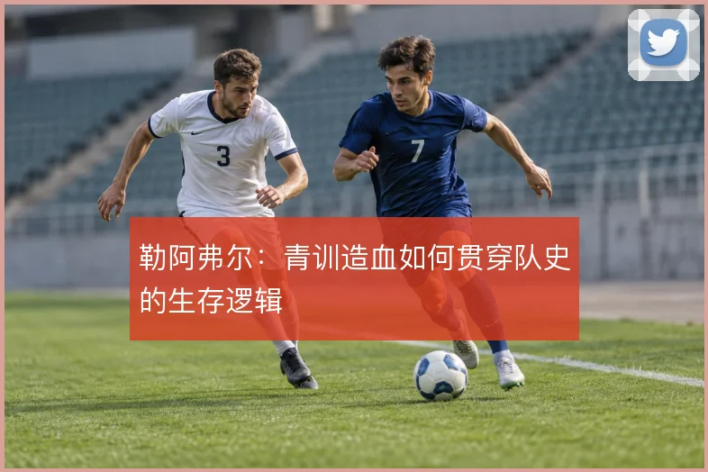勒阿弗尔：青训造血如何贯穿队史的生存逻辑